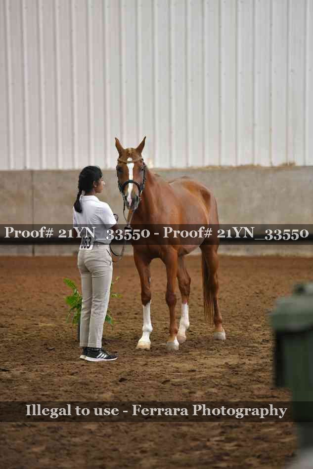 Proof 21YN_33550