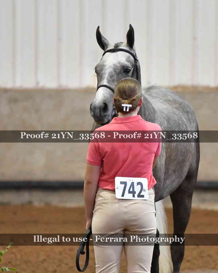 Proof 21YN_33568