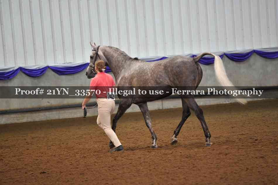 Proof 21YN_33570