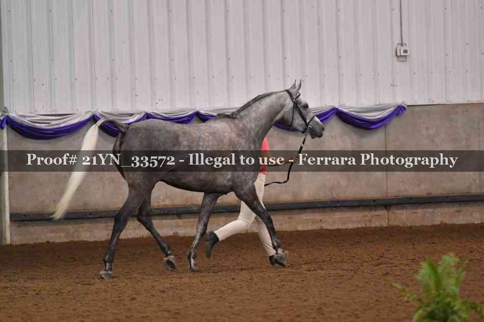 Proof 21YN_33572