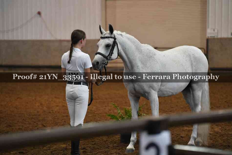 Proof 21YN_33591