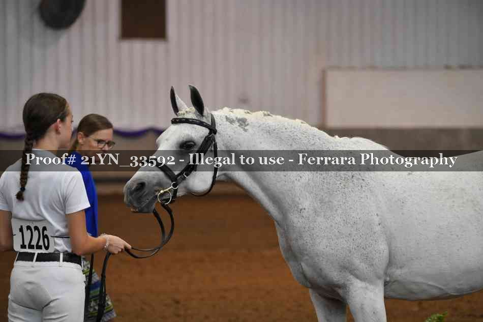 Proof 21YN_33592