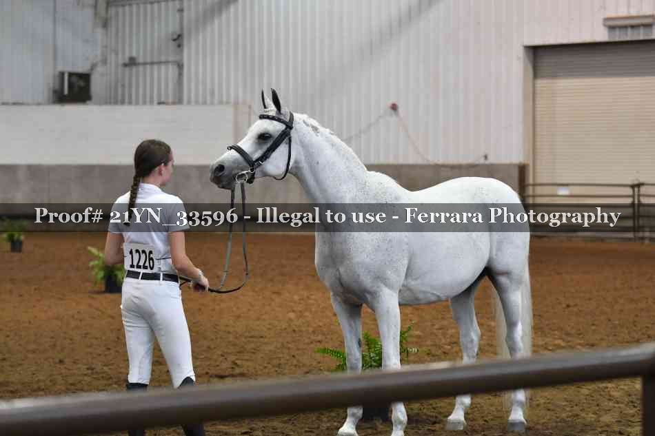 Proof 21YN_33596