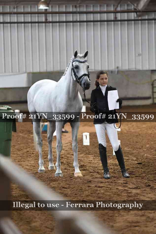 Proof 21YN_33599
