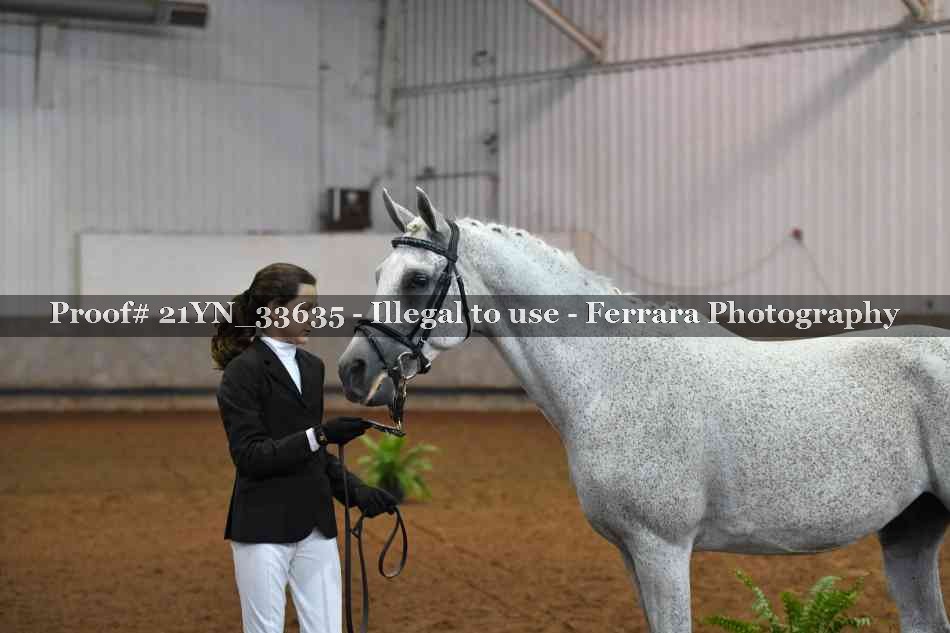 Proof 21YN_33635