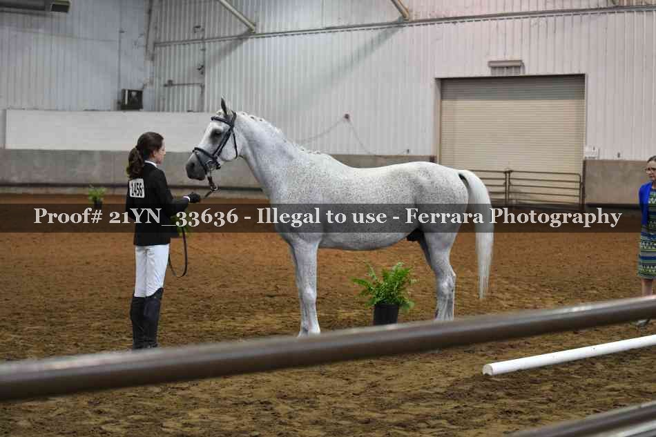 Proof 21YN_33636