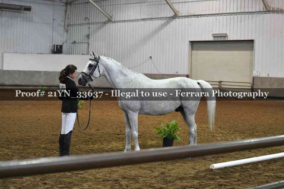 Proof 21YN_33637