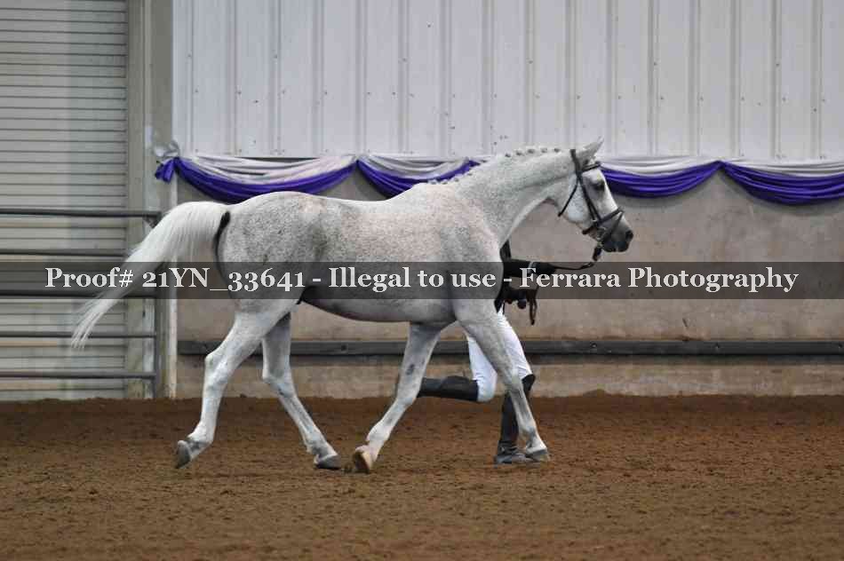 Proof 21YN_33641