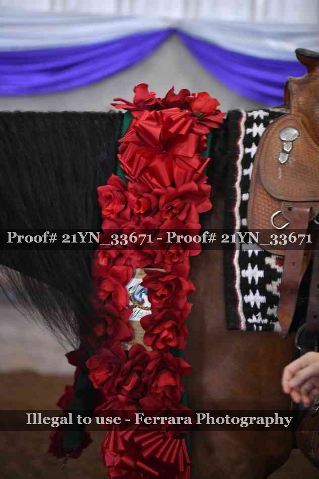 Proof 21YN_33671