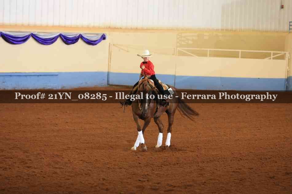 Proof 21YN_08285