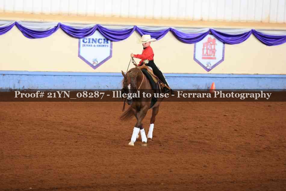 Proof 21YN_08287