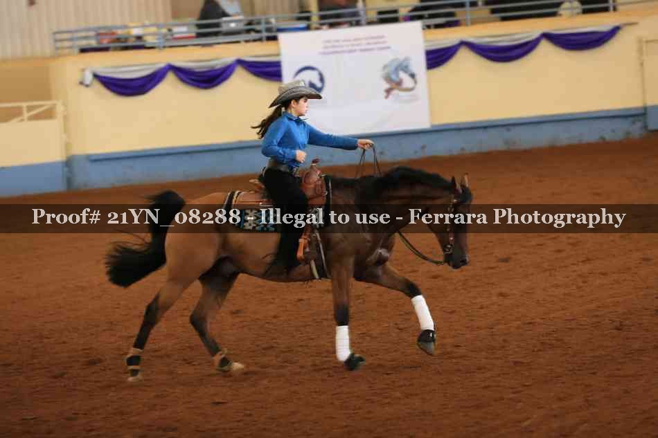 Proof 21YN_08288