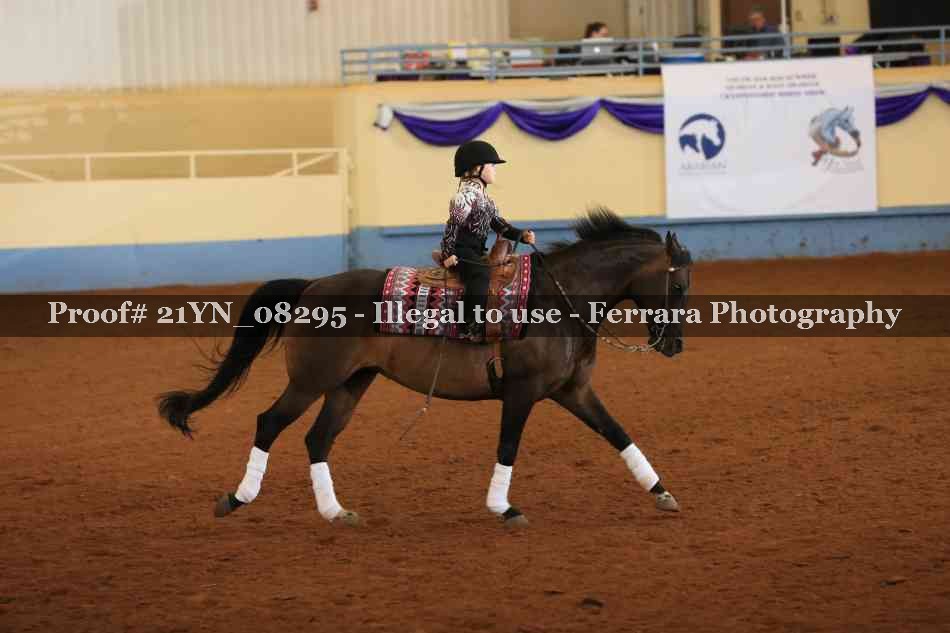 Proof 21YN_08295