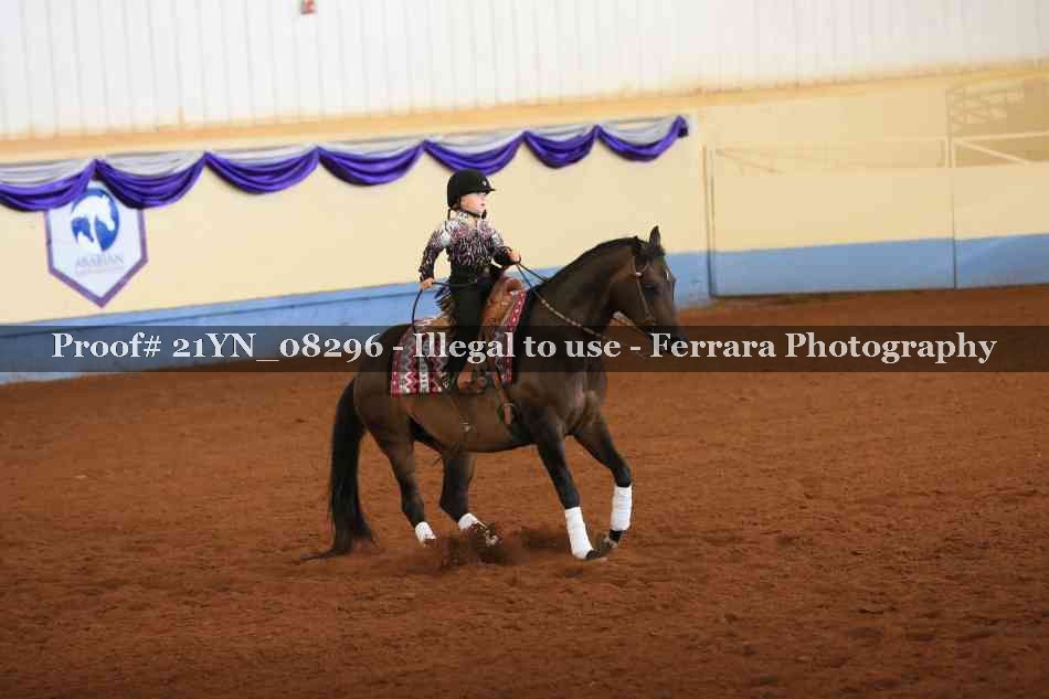 Proof 21YN_08296