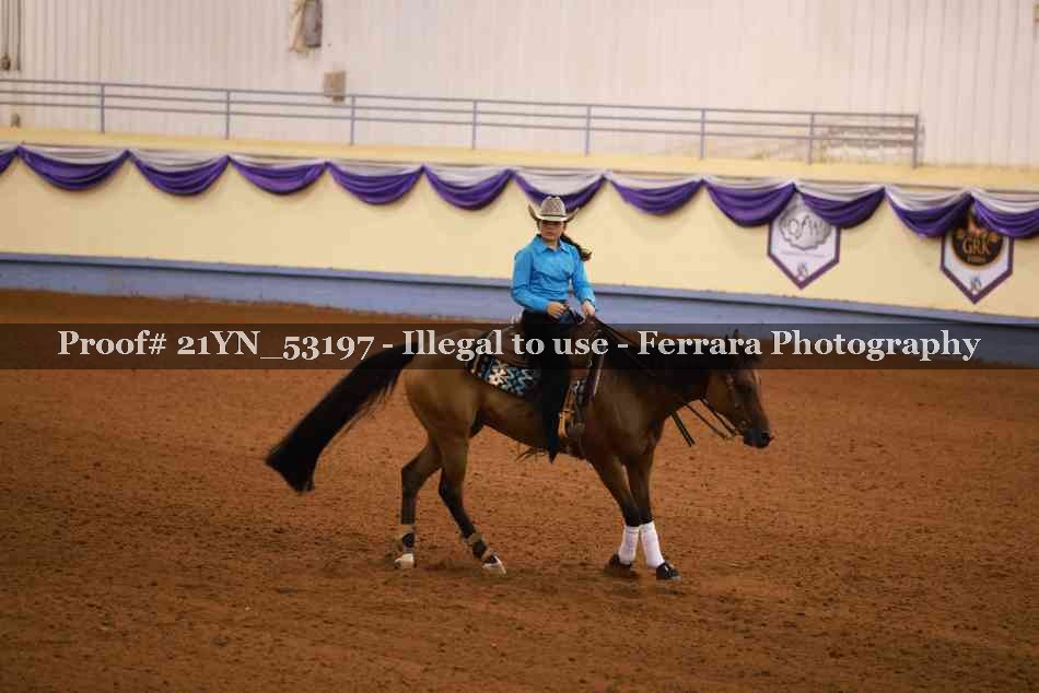 Proof 21YN_53197