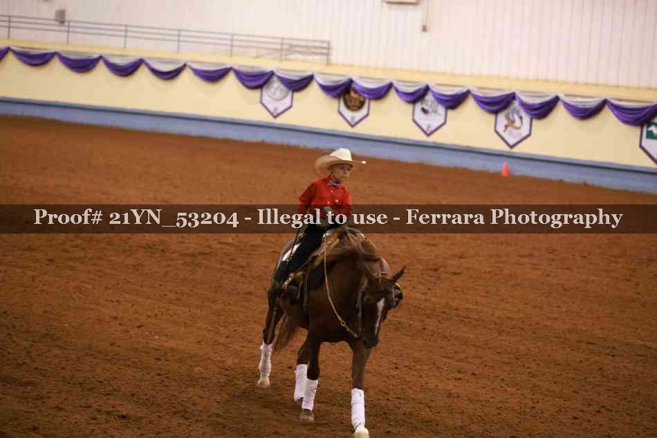 Proof 21YN_53204