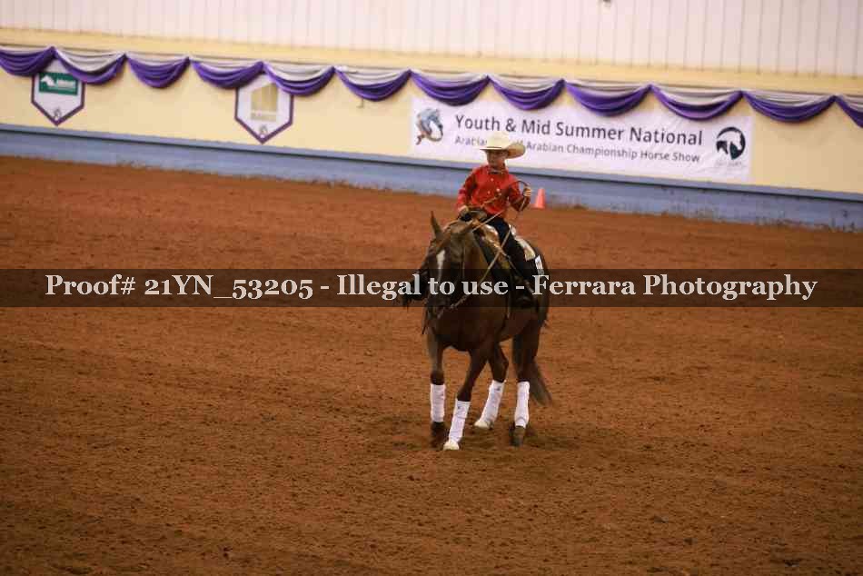 Proof 21YN_53205