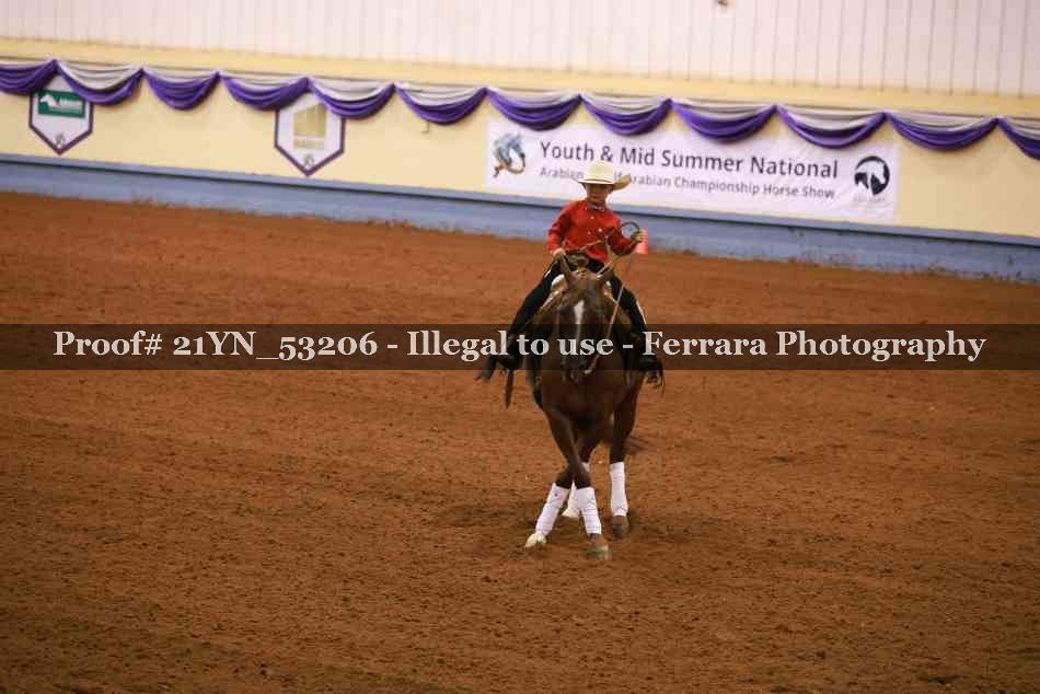 Proof 21YN_53206