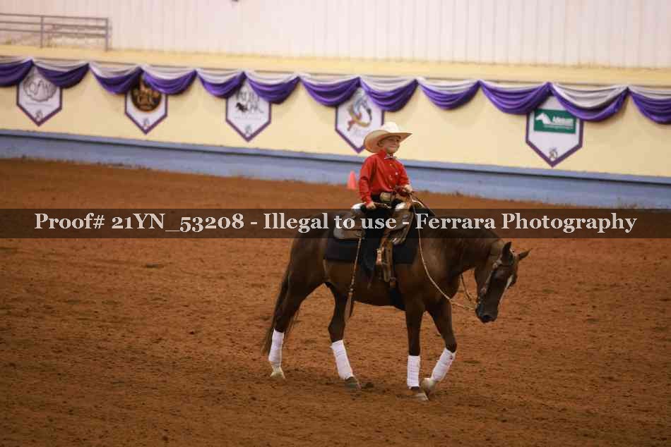 Proof 21YN_53208