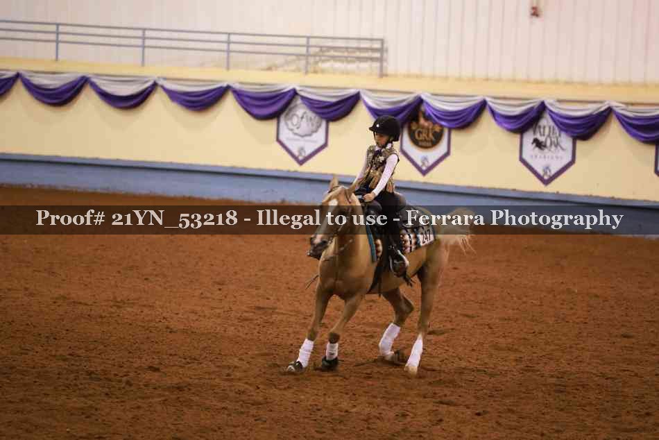 Proof 21YN_53218