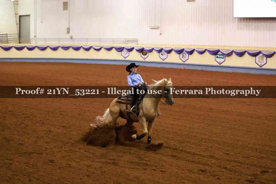 Proof 21YN_53221