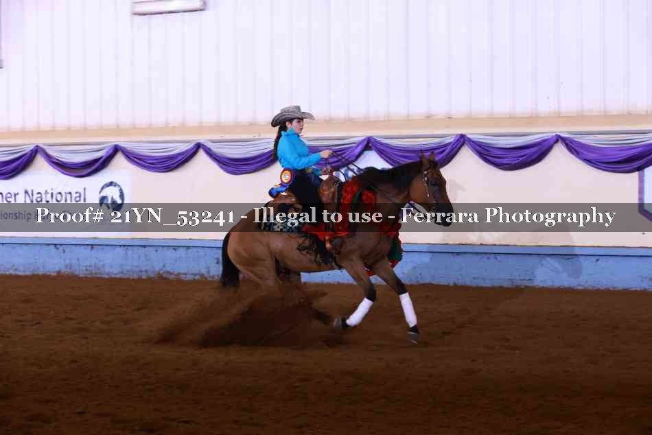 Proof 21YN_53241
