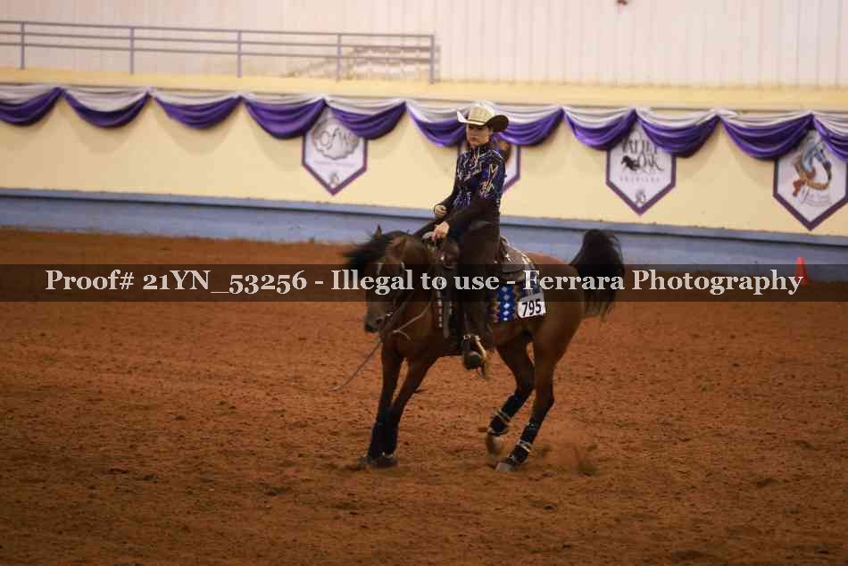 Proof 21YN_53256