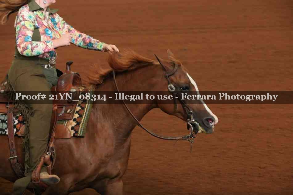 Proof 21YN_08314