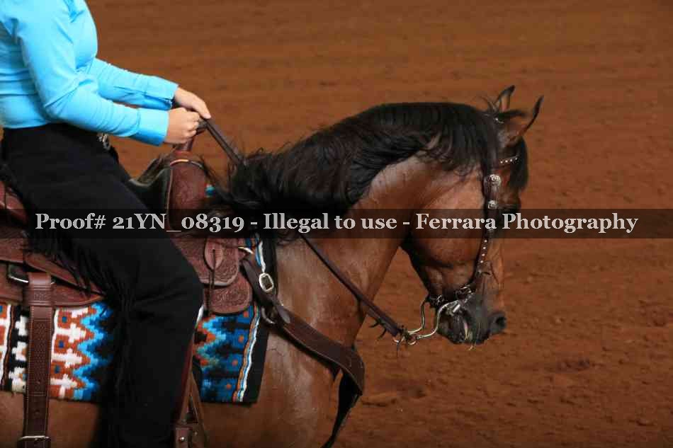 Proof 21YN_08319