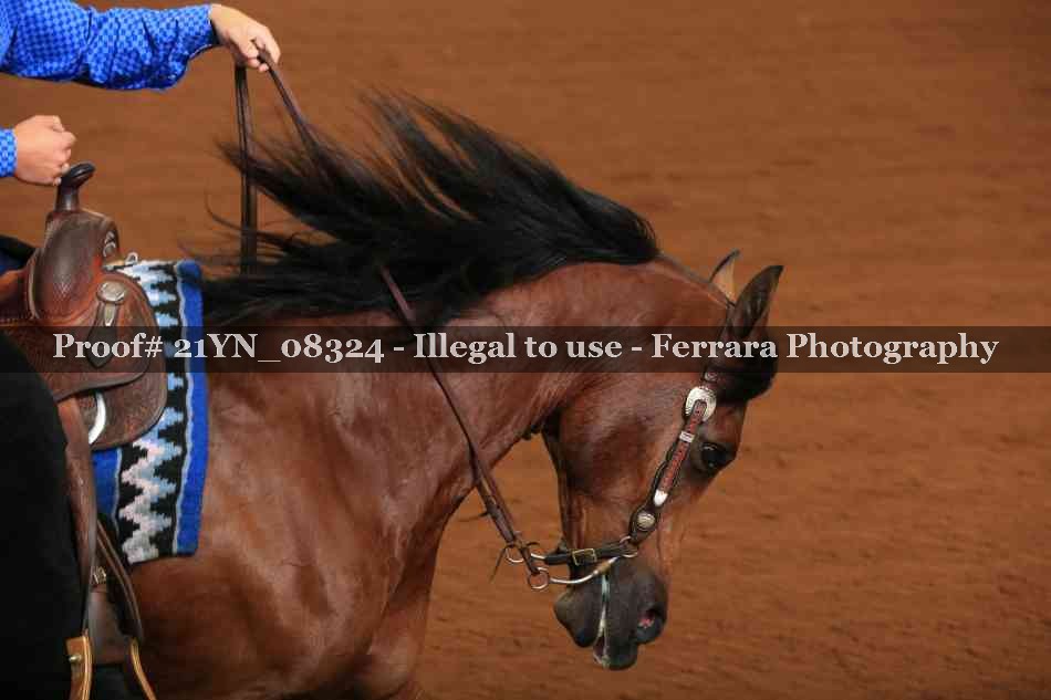 Proof 21YN_08324