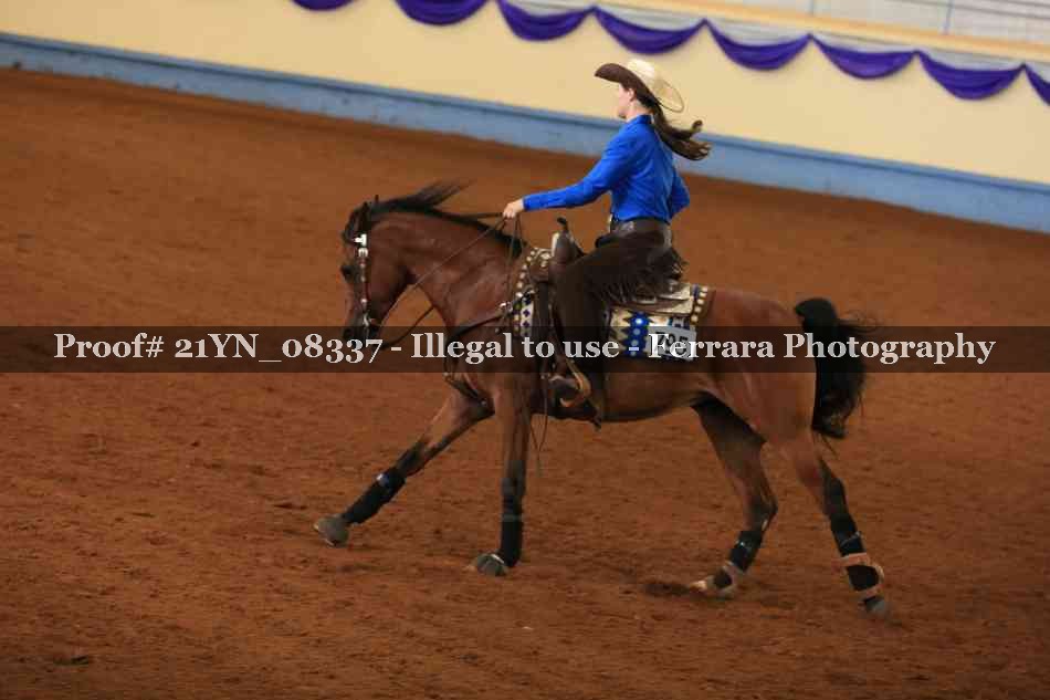 Proof 21YN_08337
