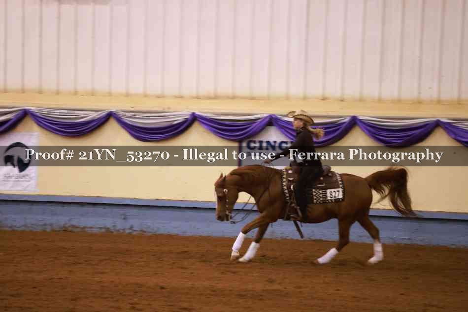 Proof 21YN_53270