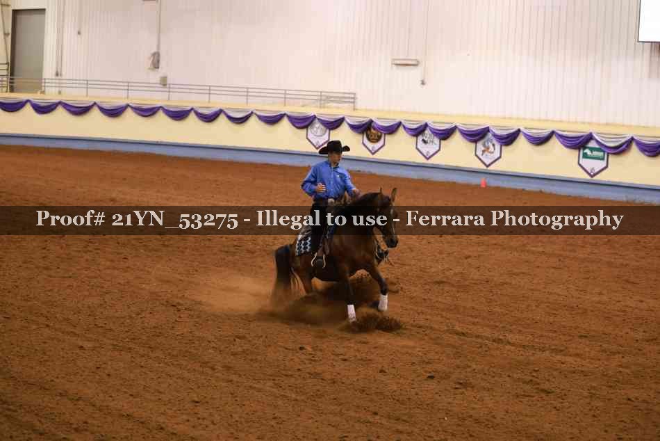 Proof 21YN_53275