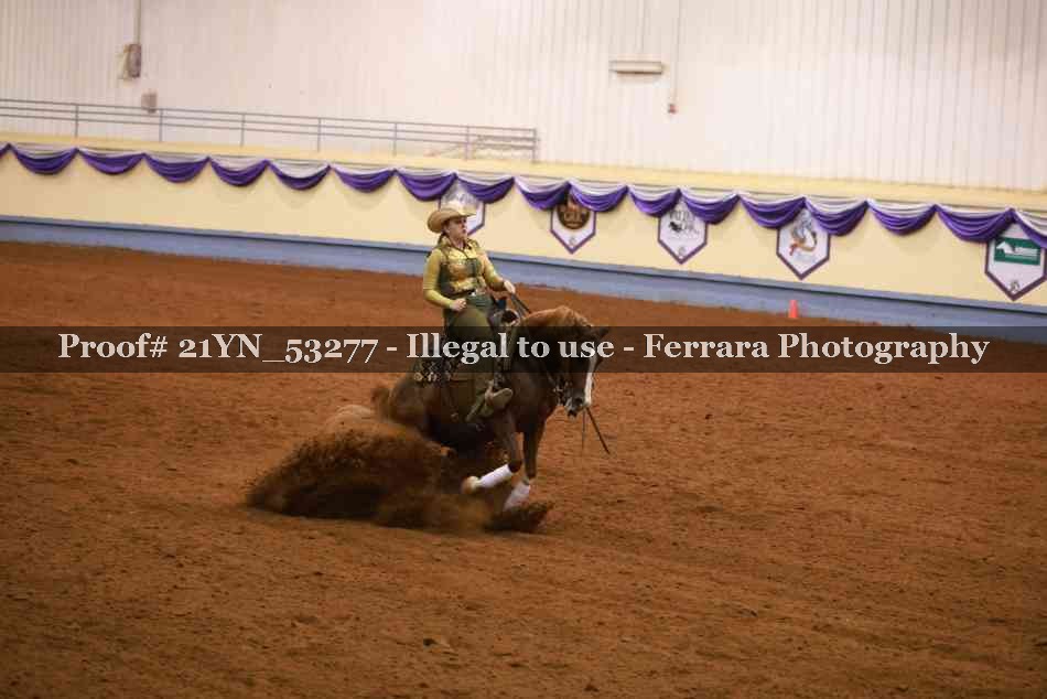 Proof 21YN_53277