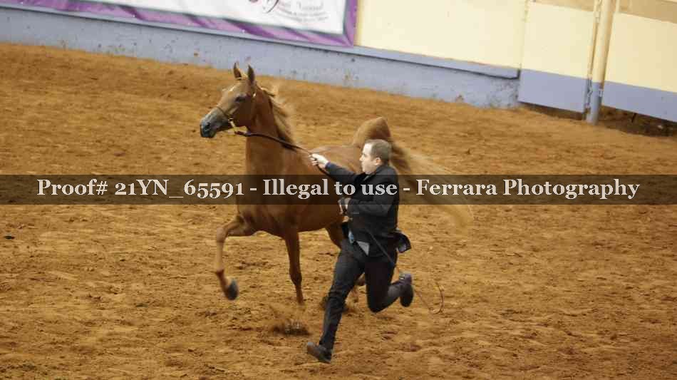 Proof 21YN_65591