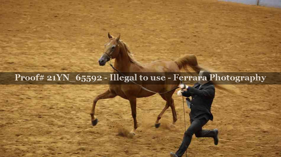 Proof 21YN_65592