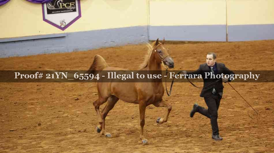 Proof 21YN_65594