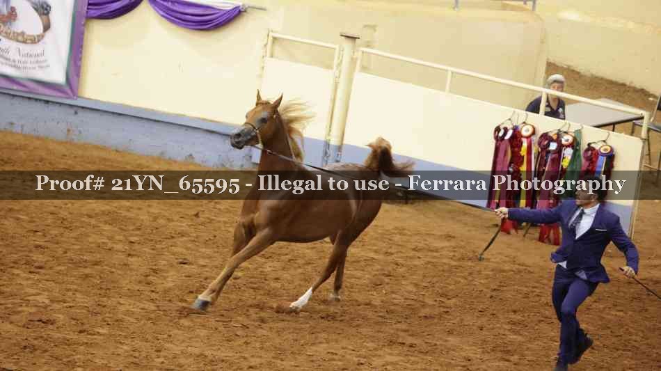 Proof 21YN_65595