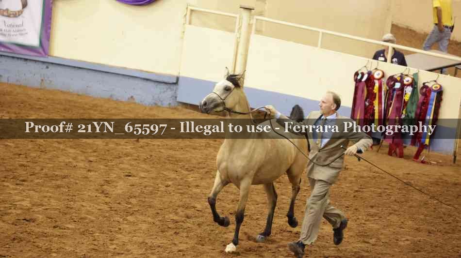 Proof 21YN_65597