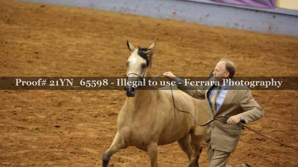 Proof 21YN_65598