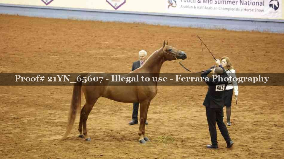 Proof 21YN_65607