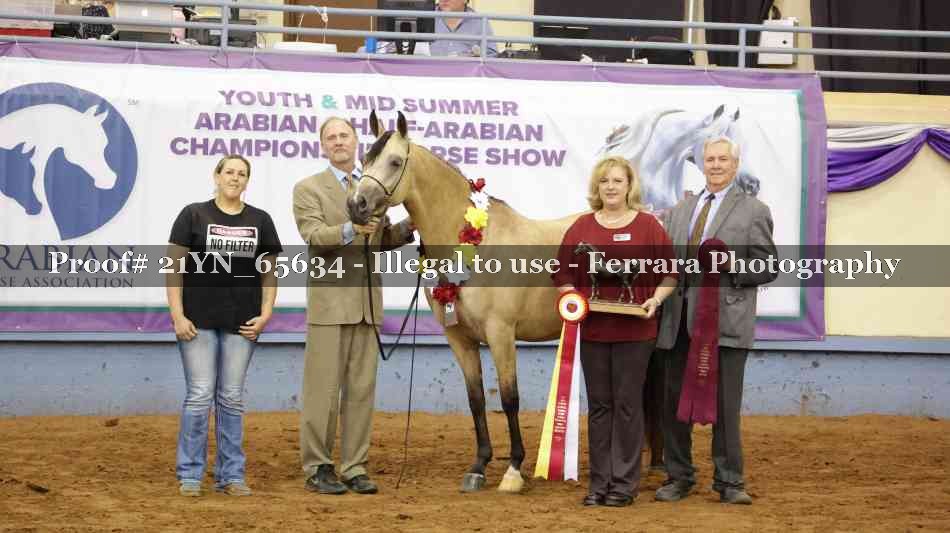 Proof 21YN_65634