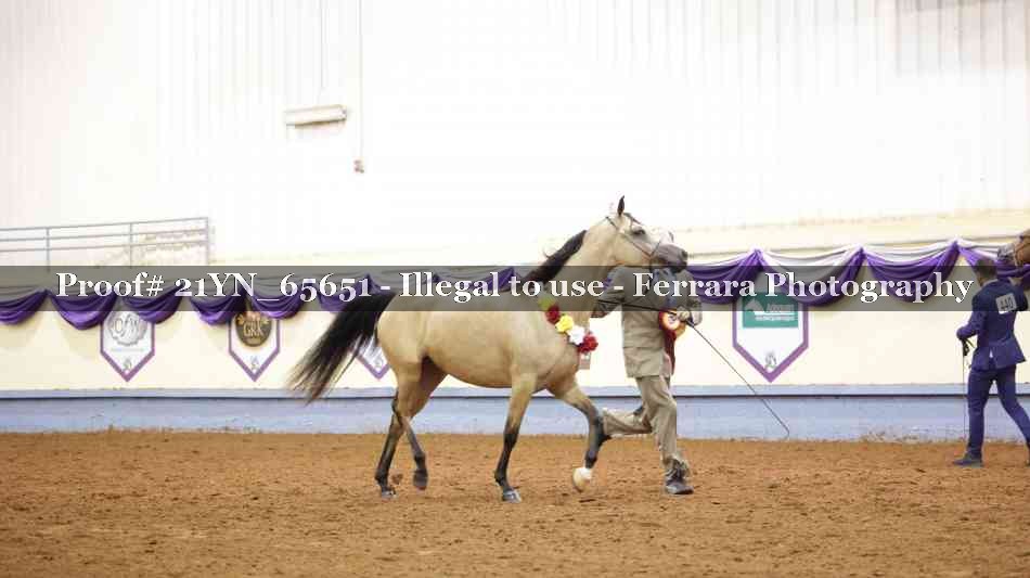Proof 21YN_65651