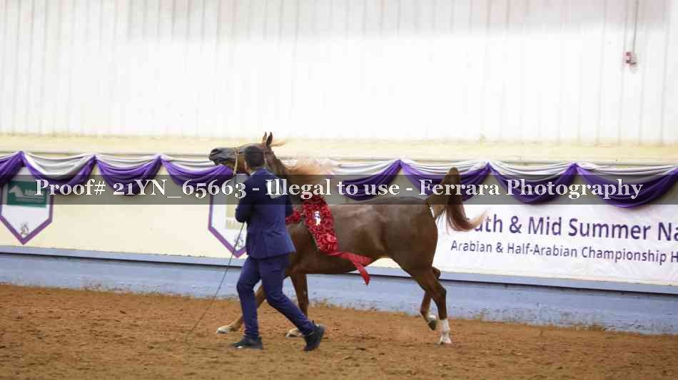 Proof 21YN_65663