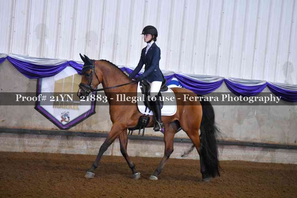 Proof 21YN_21883