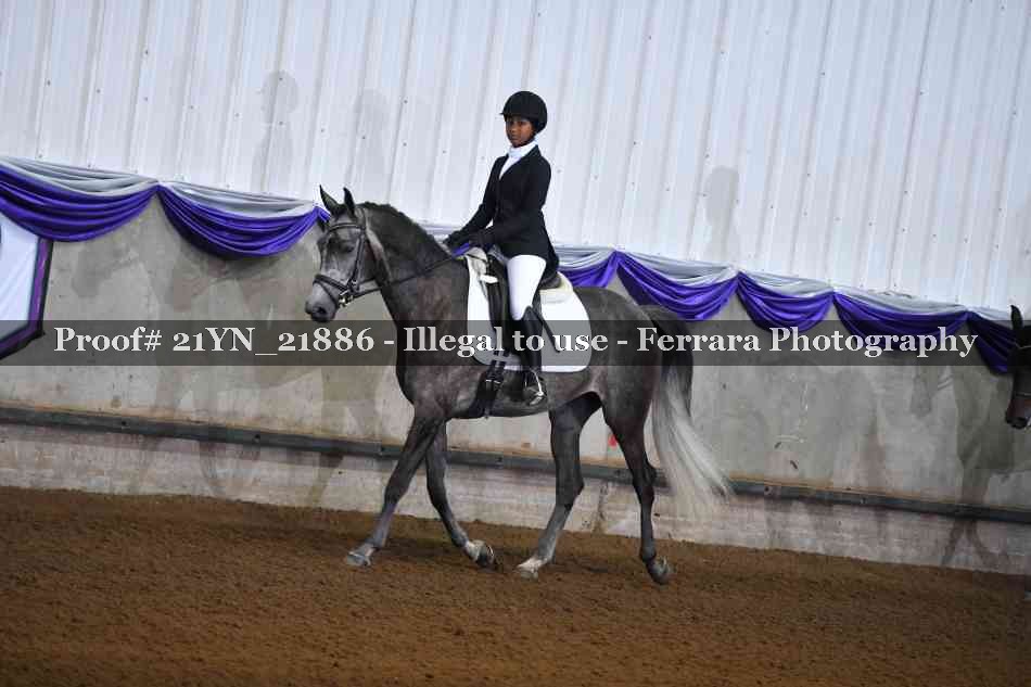 Proof 21YN_21886