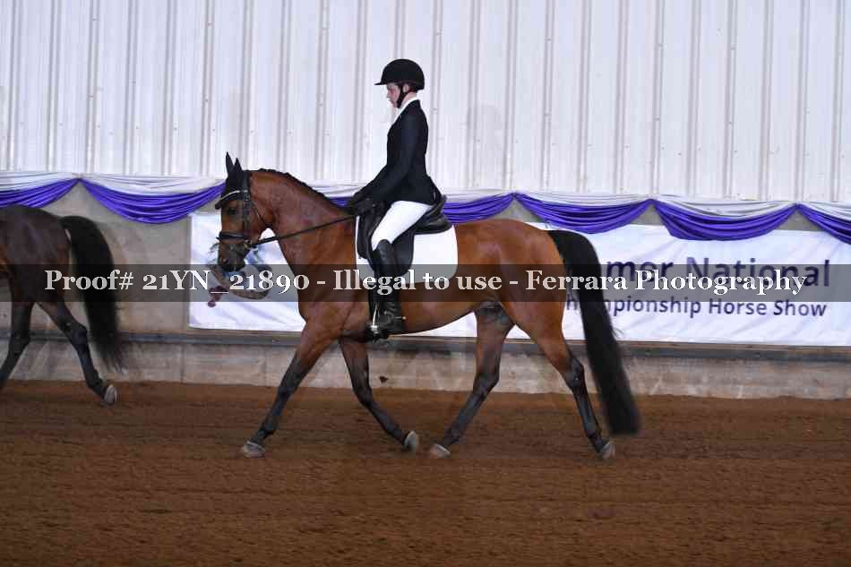 Proof 21YN_21890