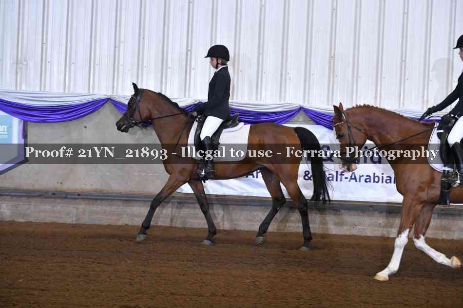 Proof 21YN_21893