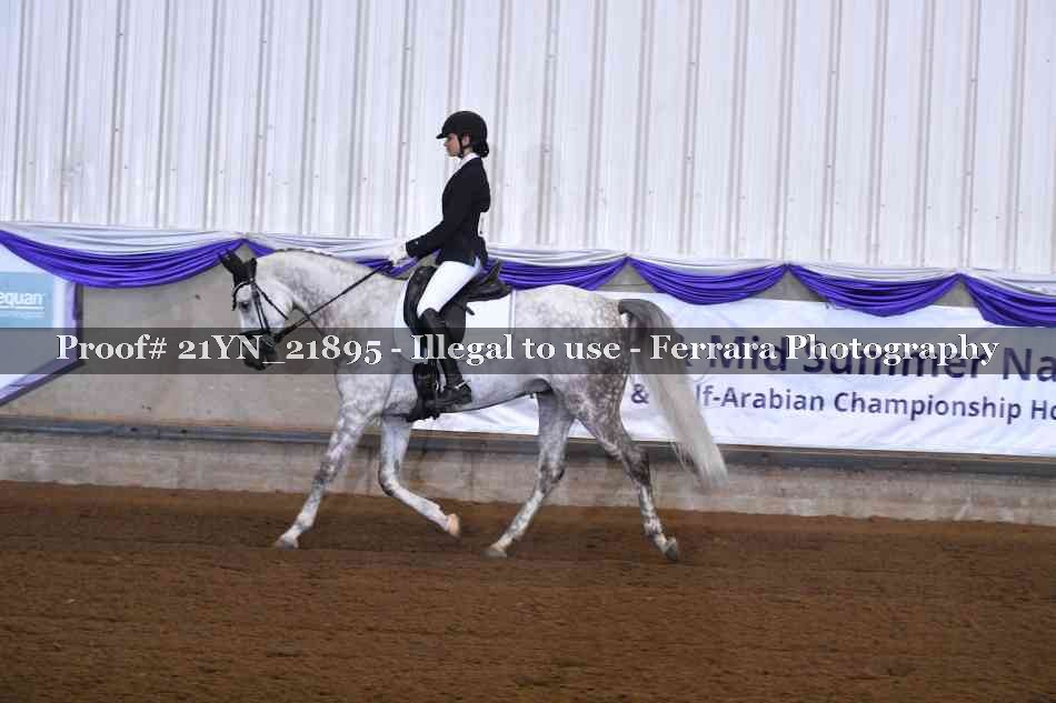 Proof 21YN_21895