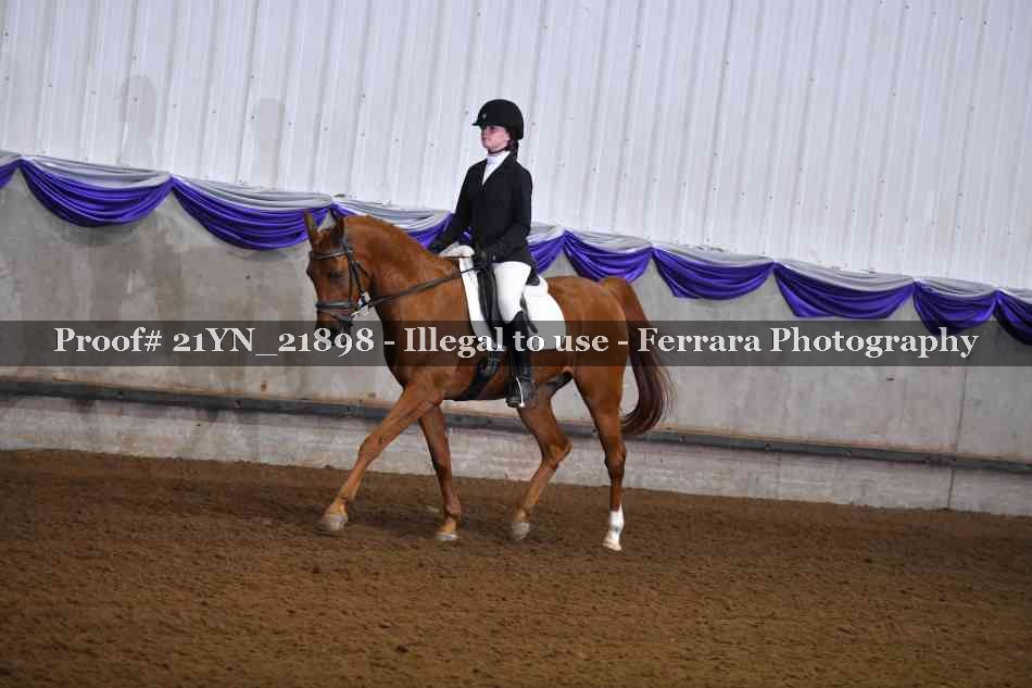 Proof 21YN_21898